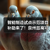 智能制造试点示范项目补助来了！泉州最高可领100万（图1）