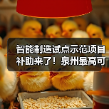 智能制造试点示范项目补助来了！泉州最高可领100万（图2）