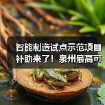 智能制造试点示范项目补助来了！泉州最高可领100万（图3）