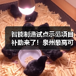 智能制造试点示范项目补助来了！泉州最高可领100万（图4）
