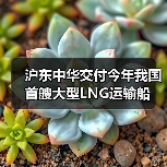 沪东中华交付今年我国首艘大型LNG运输船(图4) 沪东中华交付今年我国首艘大型LNG运输船(图4)