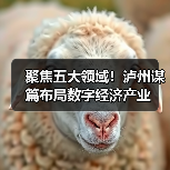聚焦五大领域!泸州谋篇布局数字经济产业(图1) 聚焦五大领域!泸州谋篇布局数字经济产业(图1)