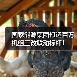 国家能源集团打造百万机组三改联动标杆!(图1) 国家能源集团打造百万机组三改联动标杆!(图1)