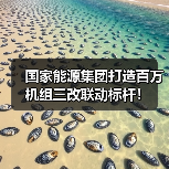 国家能源集团打造百万机组三改联动标杆!(图2) 国家能源集团打造百万机组三改联动标杆!(图2)