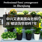 中兴又遭美国商务部打压 被禁购零部件7年(图3) 中兴又遭美国商务部打压 被禁购零部件7年(图3)