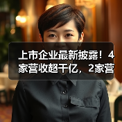 上市企业最新披露！4家营收超千亿，2家营收百亿（图2）