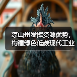凉山州发挥资源优势,构建绿色低碳现代工业体系(图4) 凉山州发挥资源优势,构建绿色低碳现代工业体系(图4)