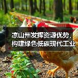 凉山州发挥资源优势,构建绿色低碳现代工业体系(图3) 凉山州发挥资源优势,构建绿色低碳现代工业体系(图3)