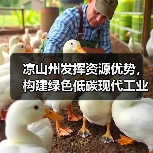 凉山州发挥资源优势,构建绿色低碳现代工业体系(图2) 凉山州发挥资源优势,构建绿色低碳现代工业体系(图2)