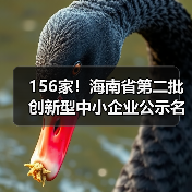 156家！海南省第二批创新型中小企业公示名单（图3）