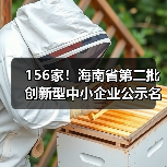 156家！海南省第二批创新型中小企业公示名单（图2）