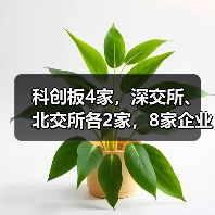 科创板4家,深交所、北交所各2家,8家企业上会在即(图4) 科创板4家,深交所、北交所各2家,8家企业上会在即(图4)