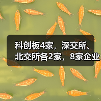 科创板4家,深交所、北交所各2家,8家企业上会在即(图2) 科创板4家,深交所、北交所各2家,8家企业上会在即(图2)