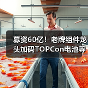 募资60亿!老牌组件龙头加码TOPCon电池等项目(图2) 募资60亿!老牌组件龙头加码TOPCon电池等项目(图2)