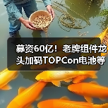 募资60亿!老牌组件龙头加码TOPCon电池等项目(图3) 募资60亿!老牌组件龙头加码TOPCon电池等项目(图3)