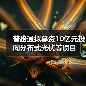 普路通拟募资10亿元投向分布式光伏等项目(图3) 普路通拟募资10亿元投向分布式光伏等项目(图3)