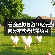 普路通拟募资10亿元投向分布式光伏等项目(图4) 普路通拟募资10亿元投向分布式光伏等项目(图4)