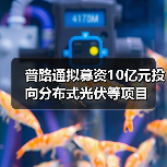 普路通拟募资10亿元投向分布式光伏等项目(图1) 普路通拟募资10亿元投向分布式光伏等项目(图1)