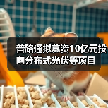 普路通拟募资10亿元投向分布式光伏等项目(图2) 普路通拟募资10亿元投向分布式光伏等项目(图2)