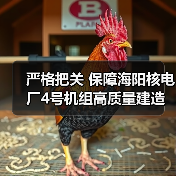 严格把关 保障海阳核电厂4号机组高质量建造（图3）