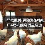 严格把关 保障海阳核电厂4号机组高质量建造（图1）