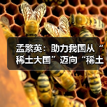 孟繁英：助力我国从“稀土大国”迈向“稀土强国”（图4）