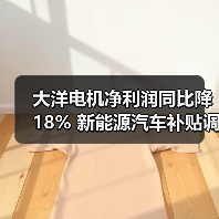 大洋电机净利润同比降18% 新能源汽车补贴调整成主因（图2）
