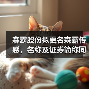 森霸股份拟更名森霸传感，名称及证券简称同步调整（图4）