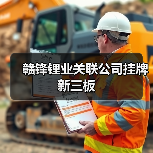 赣锋锂业关联公司挂牌新三板(图3) 赣锋锂业关联公司挂牌新三板(图3)