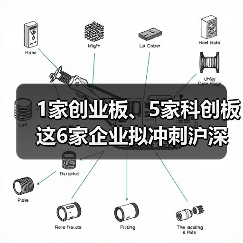 1家创业板、5家科创板 这6家企业拟冲刺沪深主板(图3) 1家创业板、5家科创板 这6家企业拟冲刺沪深主板(图3)
