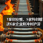 1家创业板、5家科创板 这6家企业拟冲刺沪深主板(图1) 1家创业板、5家科创板 这6家企业拟冲刺沪深主板(图1)