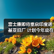 富士康即将重启印度诺基亚旧厂 计划今年底在印度的手机生产量达3000万部（图1）