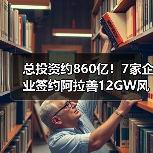 总投资约860亿！7家企业签约阿拉善12GW风光基地项目（图4）