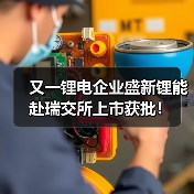 又一锂电企业盛新锂能赴瑞交所上市获批！（图2）