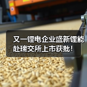 又一锂电企业盛新锂能赴瑞交所上市获批！（图4）