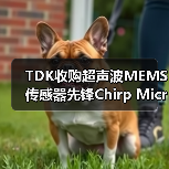 TDK收购超声波MEMS传感器先锋Chirp Microsystems(图3) TDK收购超声波MEMS传感器先锋Chirp Microsystems(图3)