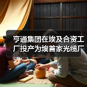 亨通集团在埃及合资工厂投产为埃首家光缆厂（图3）