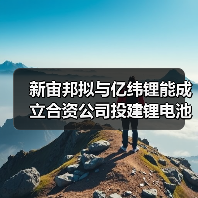 新宙邦拟与亿纬锂能成立合资公司投建锂电池电解液及半导体化学品项目（图4）