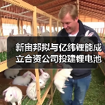 新宙邦拟与亿纬锂能成立合资公司投建锂电池电解液及半导体化学品项目（图1）