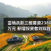 雷格讯新三板募资2380万元 新增投资者刘双胜参与认购（图4）