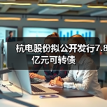 杭电股份拟公开发行7.8亿元可转债（图2）