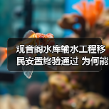 观音阁水库输水工程移民安置终验通过 为何能成为民生保障典范?(图3) 观音阁水库输水工程移民安置终验通过 为何能成为民生保障典范?(图3)