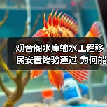 观音阁水库输水工程移民安置终验通过 为何能成为民生保障典范?(图1) 观音阁水库输水工程移民安置终验通过 为何能成为民生保障典范?(图1)