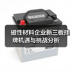 磁性材料企业新三板挂牌机遇与挑战分析（图4）