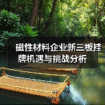 磁性材料企业新三板挂牌机遇与挑战分析（图2）