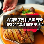 六项电子元件类项目荣获2017年中国电子学会科学技术奖(图1) 六项电子元件类项目荣获2017年中国电子学会科学技术奖(图1)