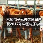六项电子元件类项目荣获2017年中国电子学会科学技术奖(图3) 六项电子元件类项目荣获2017年中国电子学会科学技术奖(图3)