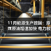 11月能源生产数据：原煤原油增速加快 电力放缓（图4）