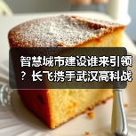 智慧城市建设谁来引领？长飞携手武汉高科战略合作启航（图1）