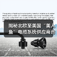 揭秘北欧至美国“美人鱼”电缆系统供应商合约背后的技术布局（图3）
